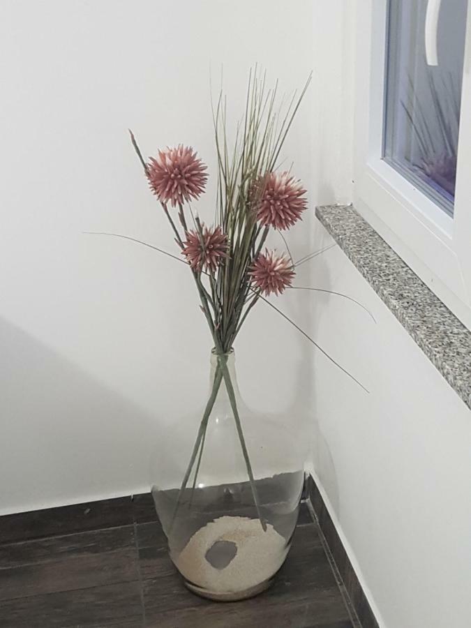 Vila Velvet Otel Starigrad Paklenica Dış mekan fotoğraf
